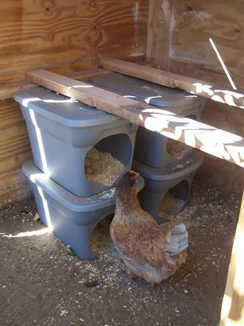 DIY Chicken Nesting Boxes
 DIY Plastic Tote Nesting Box