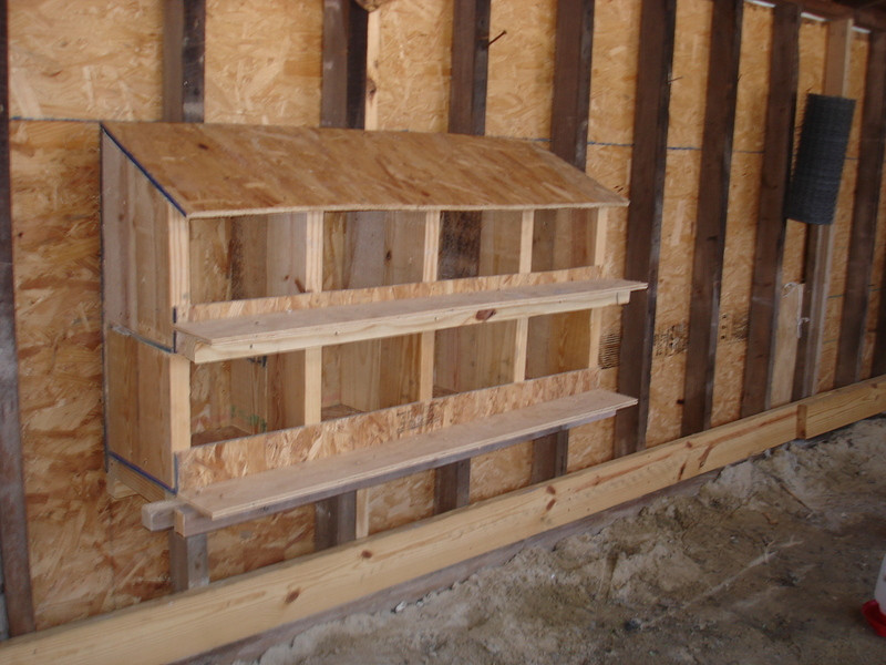DIY Chicken Nesting Boxes
 21 DIY Nesting Box Plans and Ideas You Can Build in e Day