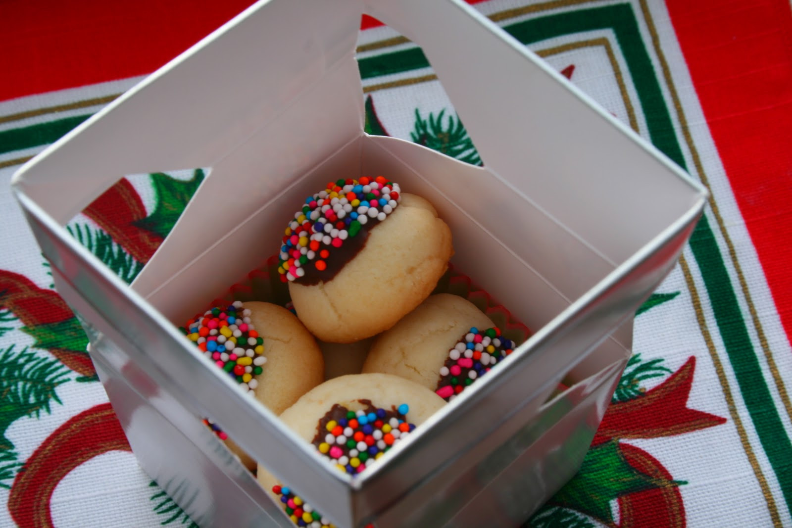 DIY Christmas Cookies
 The Nesting Corral Homemade Christmas Gifts Cookies Boxes