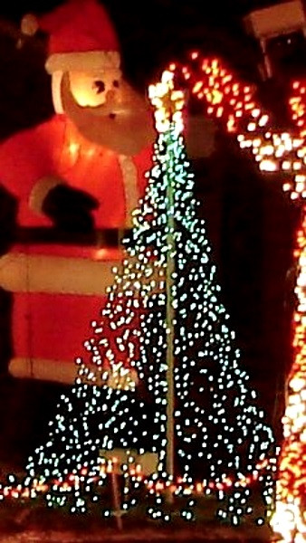 DIY Christmas Light Tree
 50 Best Outdoor Christmas Lighting Ideas Pink Lover