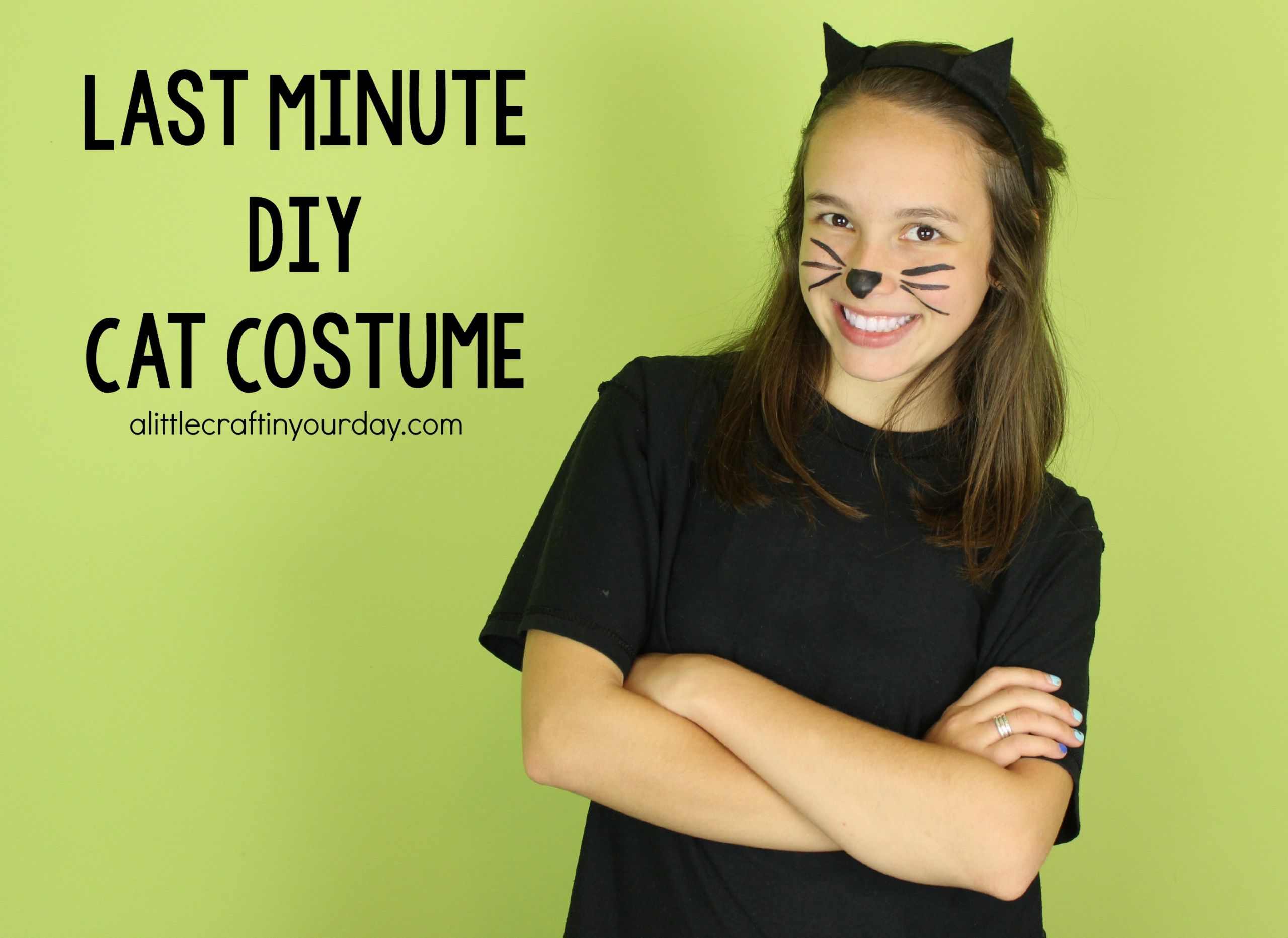 DIY Costume For Cat
 DIY Cat Costume A Little Craft In Your Day
