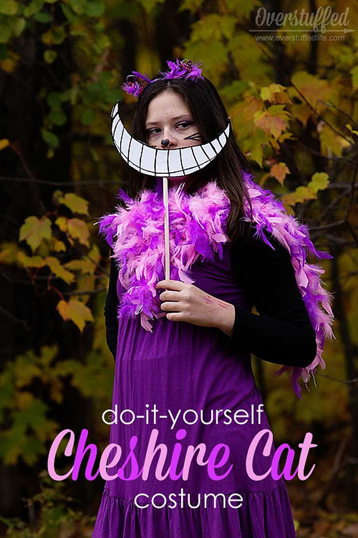DIY Costume For Cat
 Top 10 Cheshire Cat Costume Ideas For Halloween