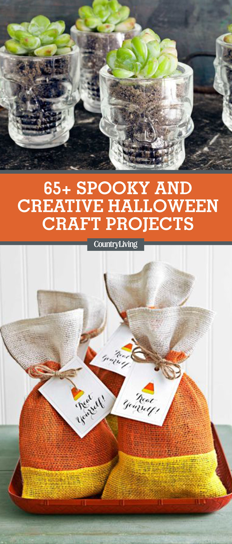 DIY Crafts For Adults
 66 Easy Halloween Craft Ideas Halloween DIY Craft