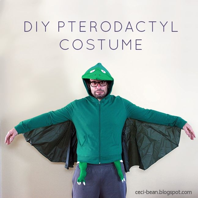 DIY Dinosaur Costumes For Adults
 Last minute costume Dinosaurs