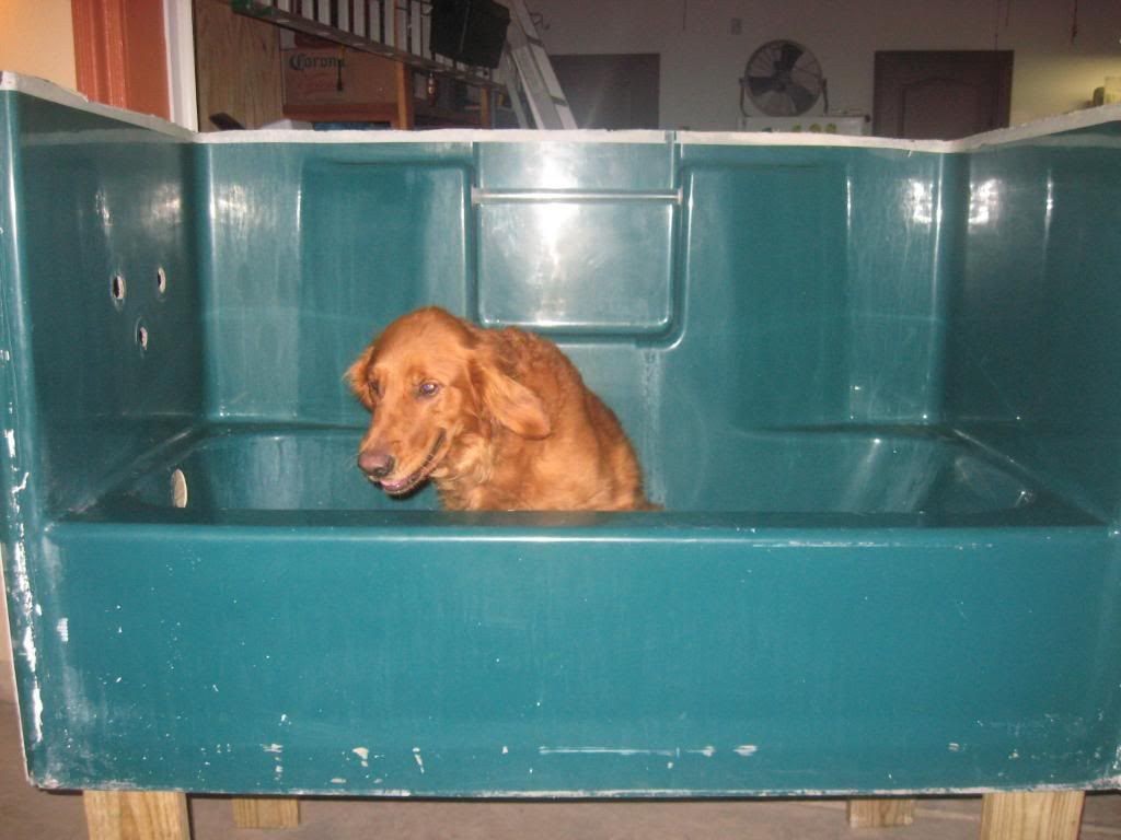 DIY Dog Bathing
 Building A Custom Elevated Dog Bathtub My Bday Present
