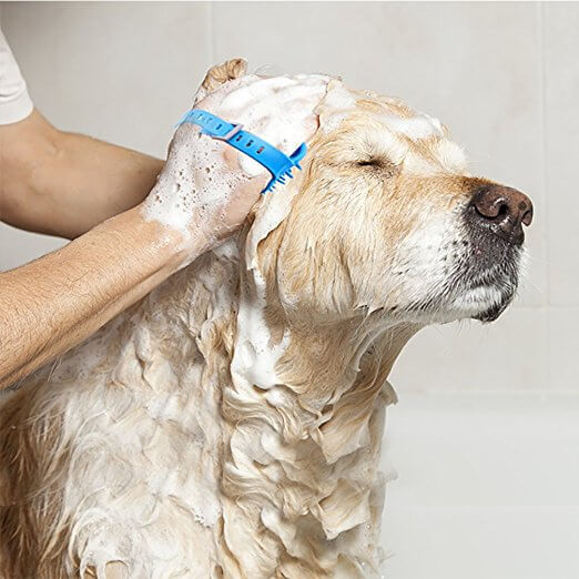 DIY Dog Bathing
 DIY Dog Bathing System Pup Headquarters