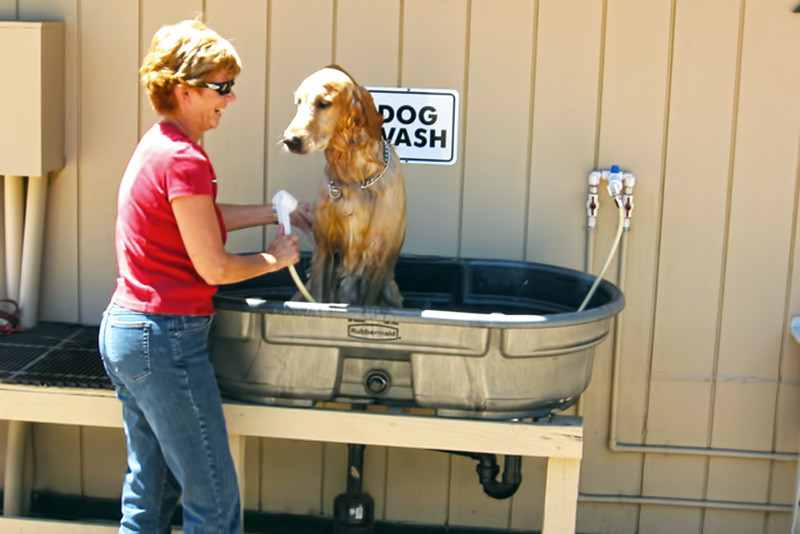 DIY Dog Bathing
 DIY Dog Washing Station Easy to Follow Guide Secrets