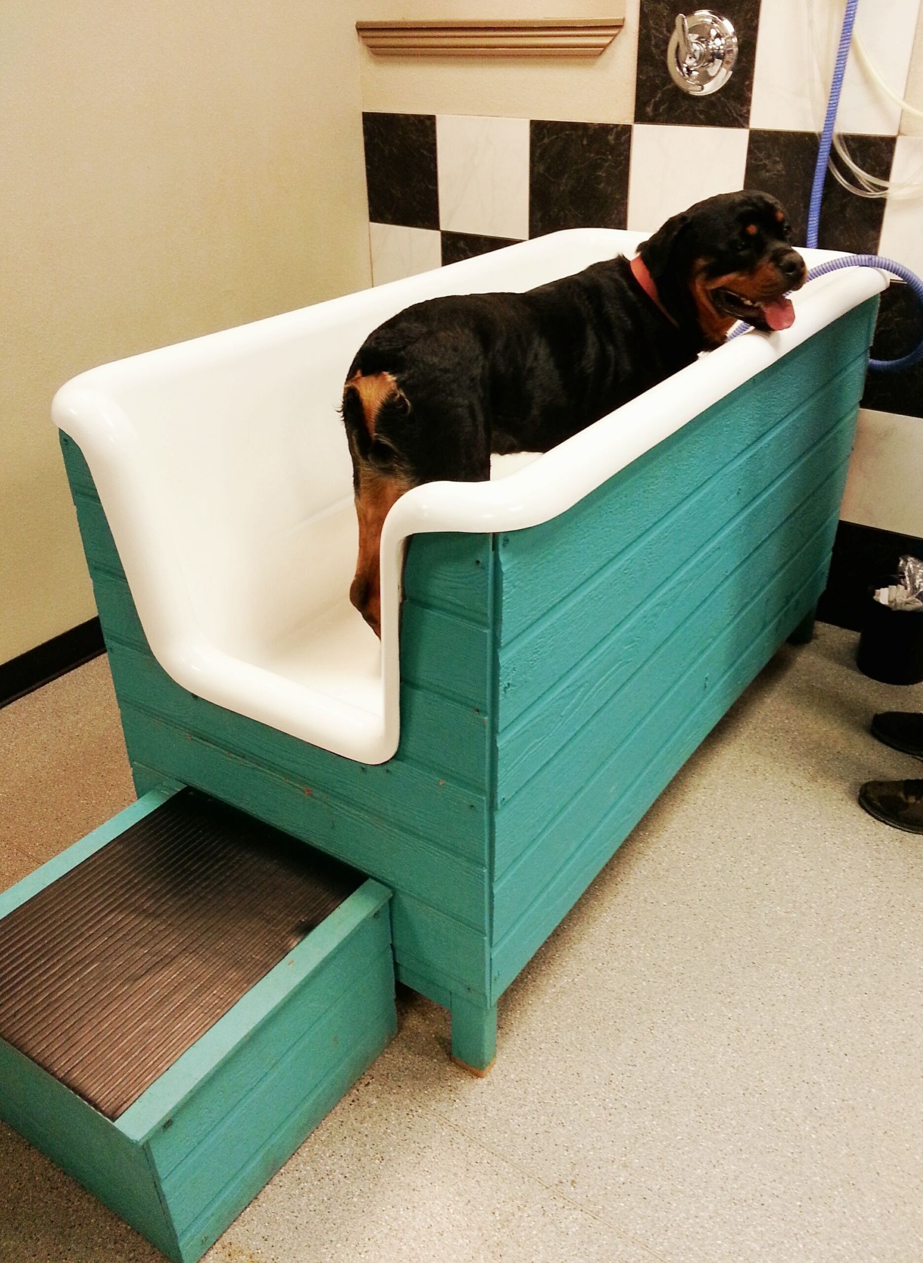 DIY Dog Bathing
 Cool Diy Dog Bath Tub Along With Do It Yourself Dog Wash