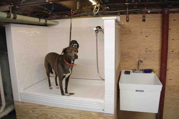 DIY Dog Bathing
 15 Brilliant Bathroom Ideas For Your Pet Dog