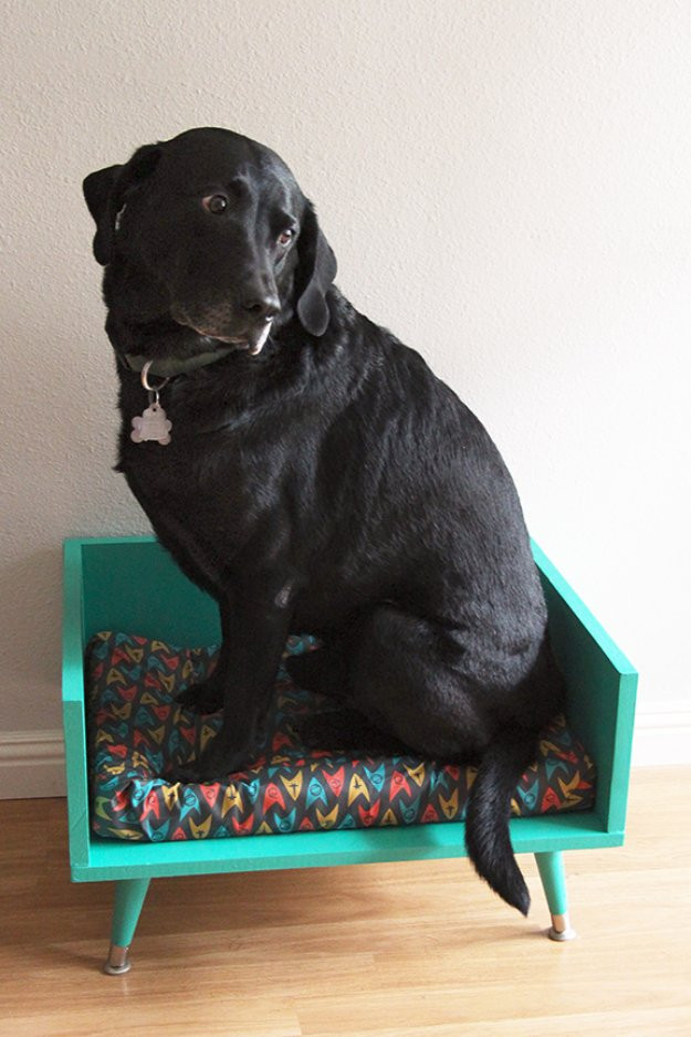 DIY Dog Bed For Big Dogs
 31 Creative DIY Dog Beds You Can Make For Your Pup