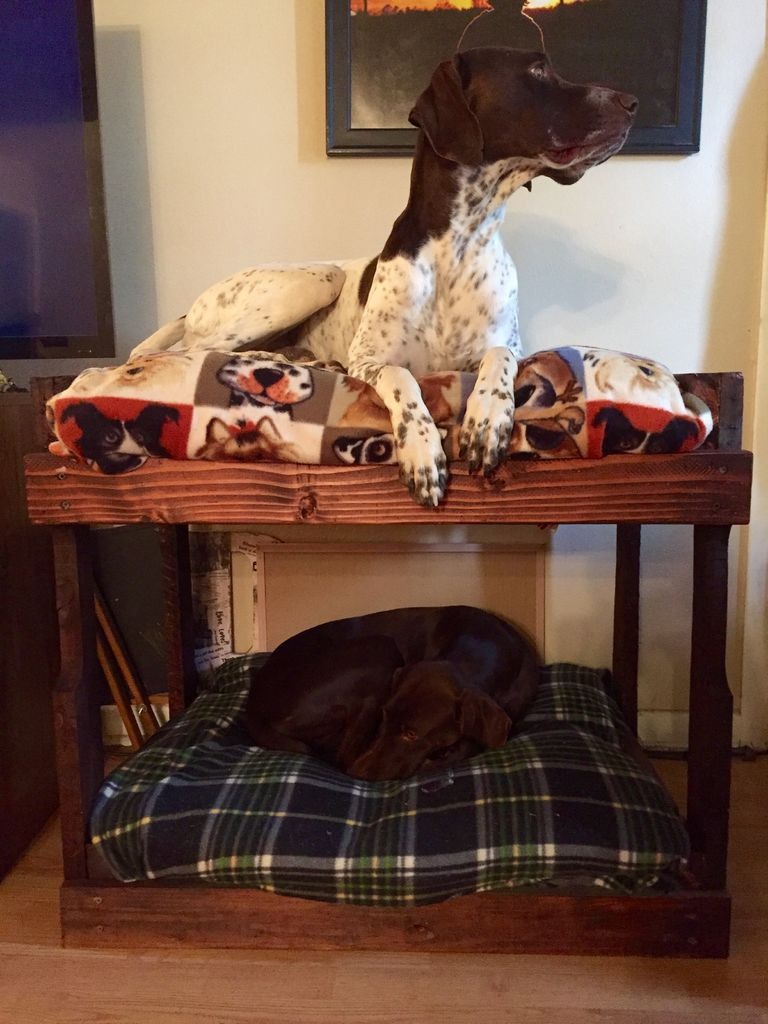 DIY Dog Bed For Big Dogs
 DIY Dog Bunk Beds