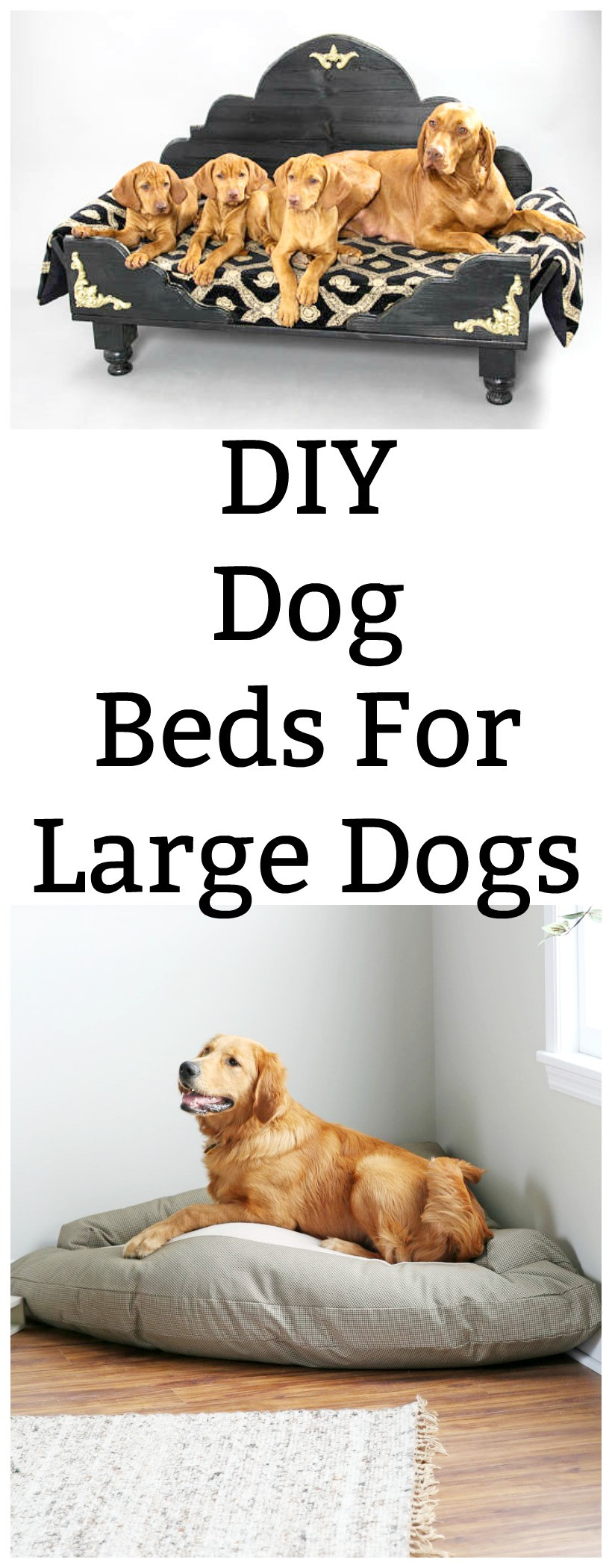 DIY Dog Bed For Big Dogs
 DIY Dog Beds for Dogs Chemistry Cachet