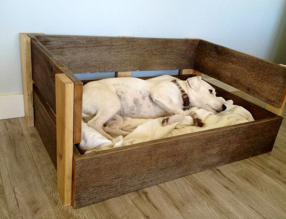 DIY Dog Bed For Big Dogs
 Choose a special hammock dog bed