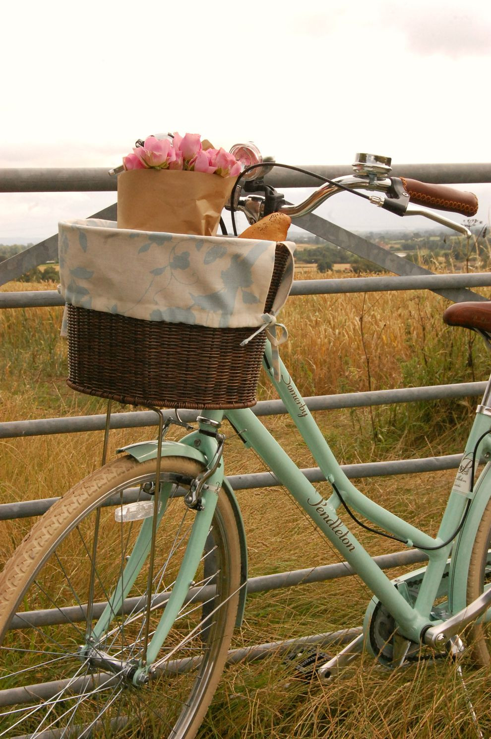 DIY Dog Bike Basket
 DIY BICYCLE BASKET LINER