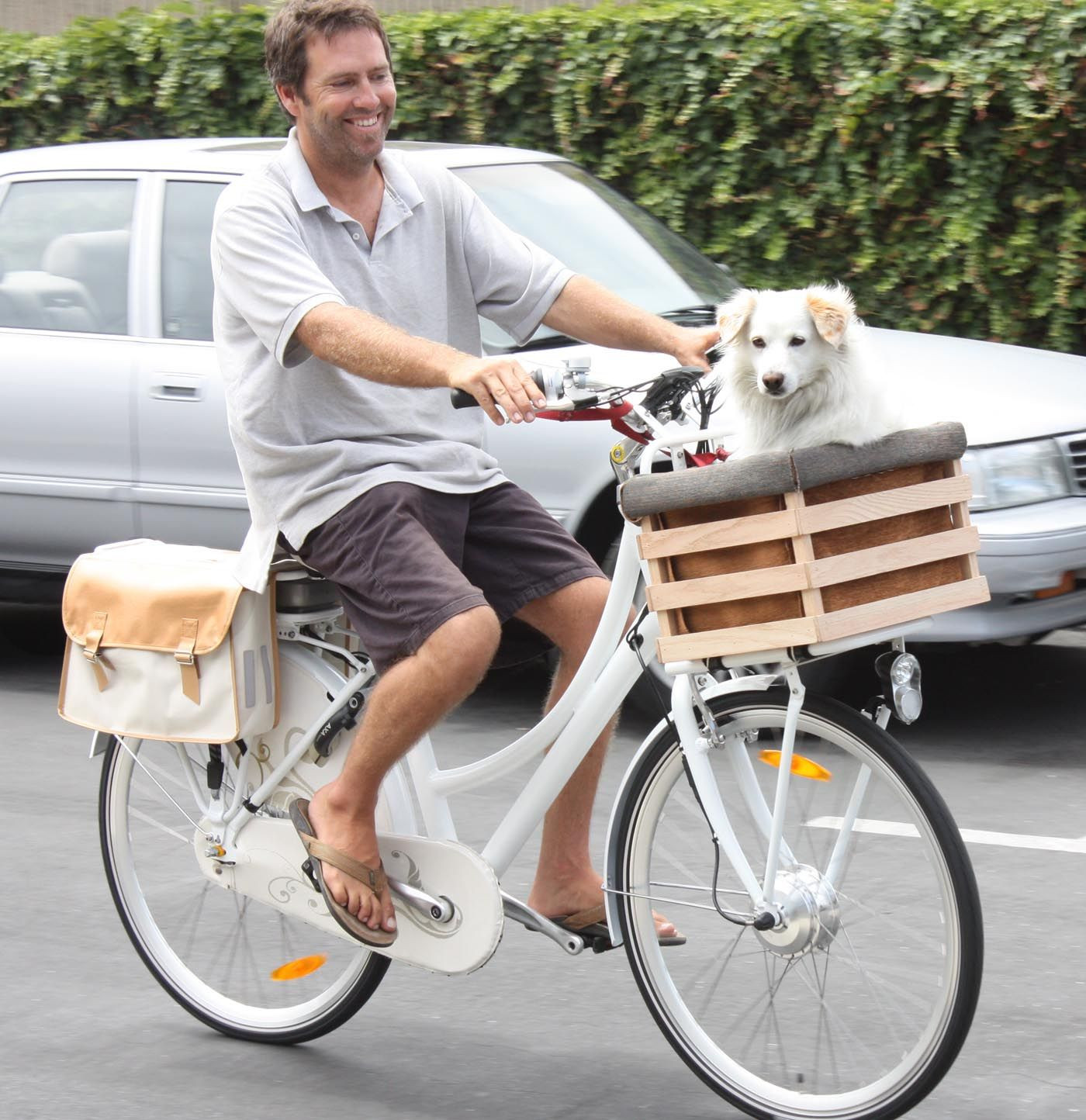 DIY Dog Bike Basket
 Our 25lb wolf Chip is off to his nails trimmed