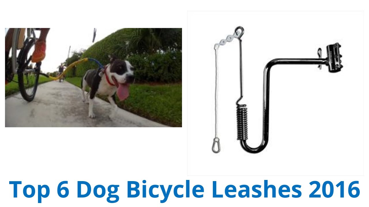 DIY Dog Bike Leash
 6 Best Dog Bicycle Leashes 2016