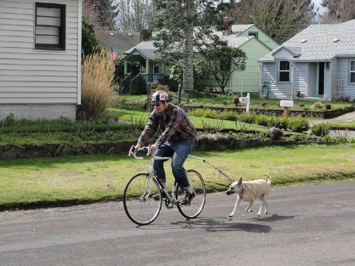 DIY Dog Bike Leash
 28 Ways To Use Bungee Cords in Your Home DIY Bungee Cord