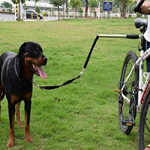DIY Dog Bike Leash
 Dog bike leash A Thrifty Mom Recipes Crafts DIY and more