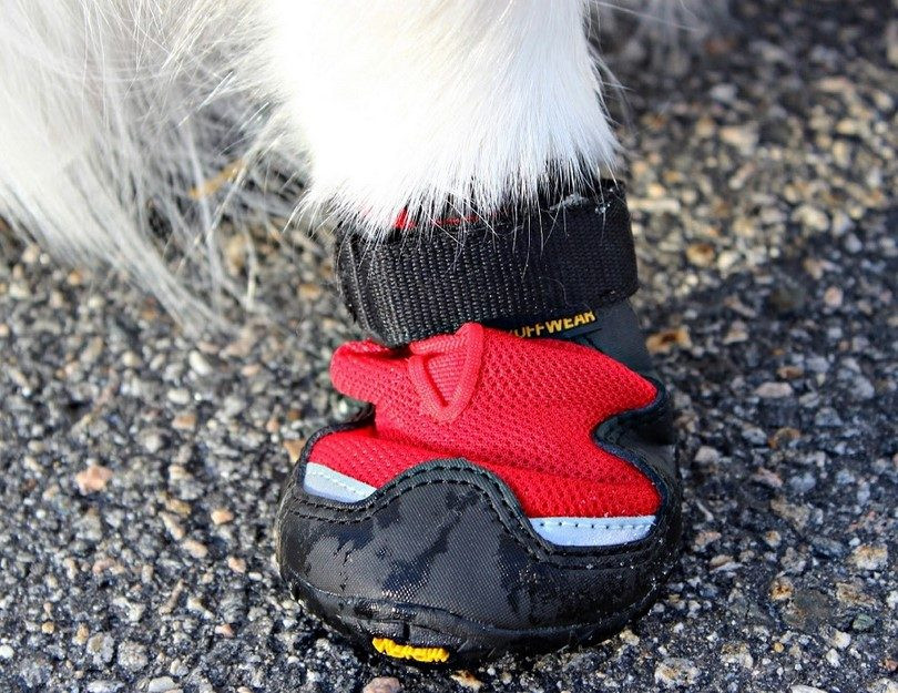 DIY Dog Booties For Hot Pavement
 How to Make Dog Booties Diy Dog Booties Project