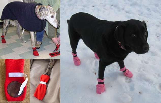 DIY Dog Booties For Hot Pavement
 Dog