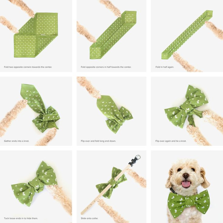 DIY Dog Bow Ties
 DIY bowtie for dogs using one bandana