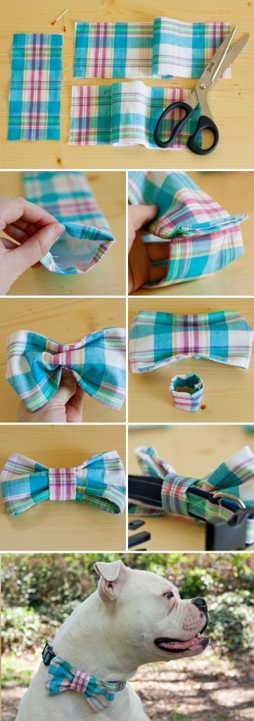 DIY Dog Bow Ties
 DIY Dog Collar Bow Tie s and for