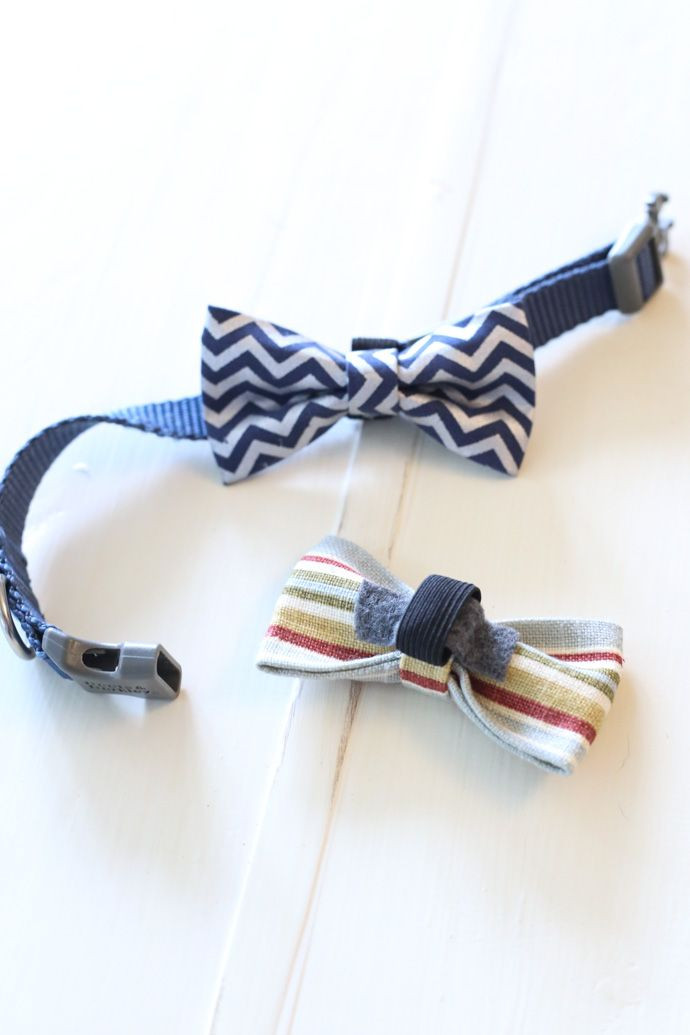 DIY Dog Bow Ties
 No Sew Dog Bow Tie Collar Slide