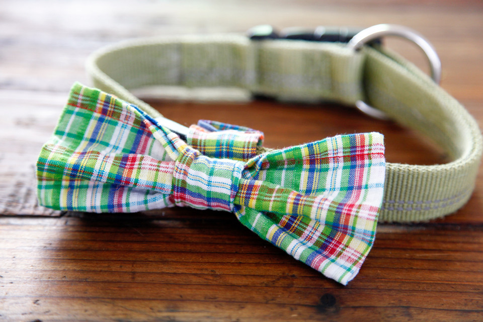DIY Dog Bow Ties
 DIY Easy Sew Over the Collar Bow Tie for Dogs — Dalmatian DIY