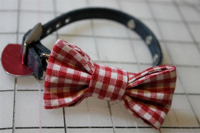 DIY Dog Bow Ties
 16 Awesome DIY Dog Accessory Ideas You And Your Pooch Will