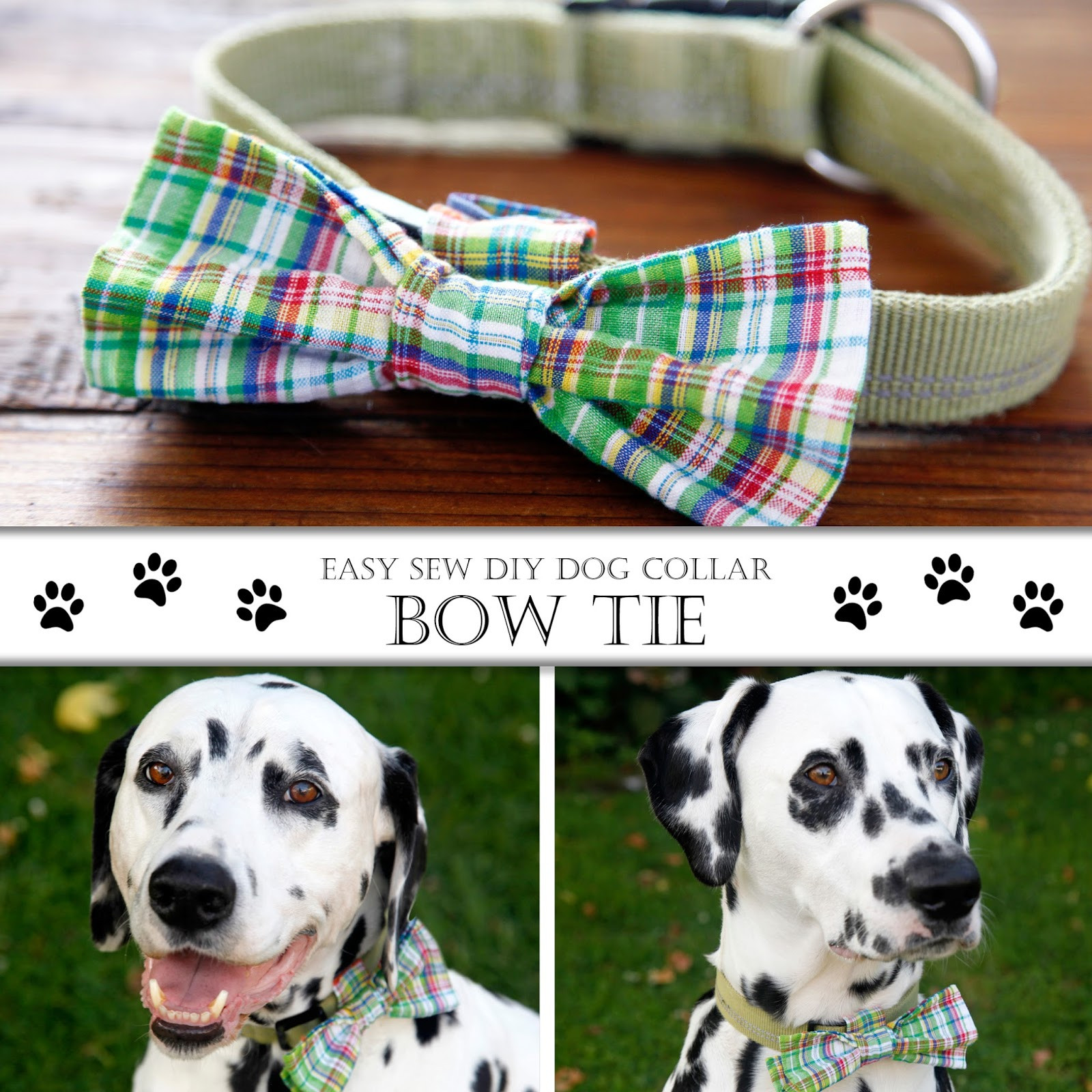DIY Dog Bow Ties
 Dalmatian DIY DIY Easy Sew Over the Collar Bow Tie for Dogs