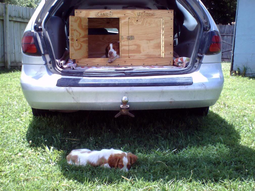 DIY Dog Box For Truck
 Pin on Dogboxes