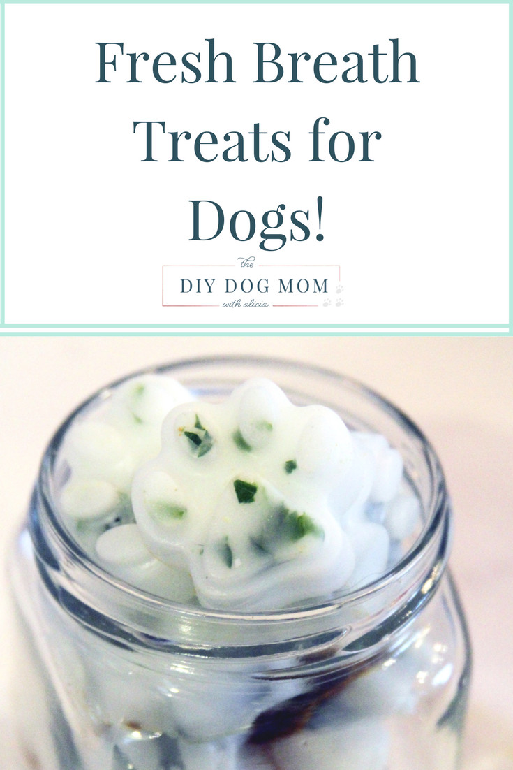 DIY Dog Breath Freshener
 Keep Your Dogs Breath Fresh With DIY Treats Pawsify