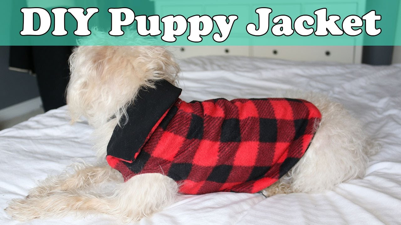 DIY Dog Clothes Pattern
 Quick and Easy DIY Puppy Jacket Coat