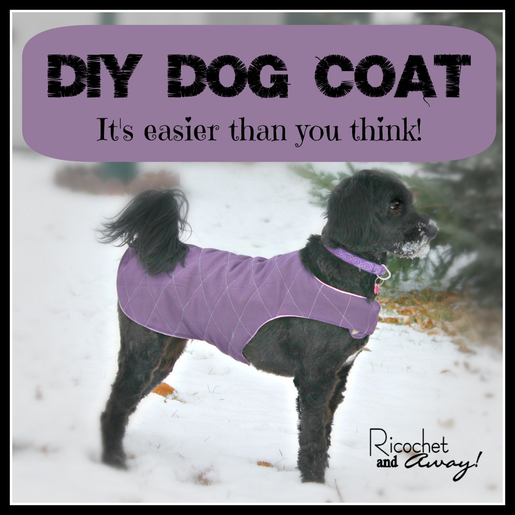 DIY Dog Clothes Pattern
 Ricochet and Away DIY Dog Coat