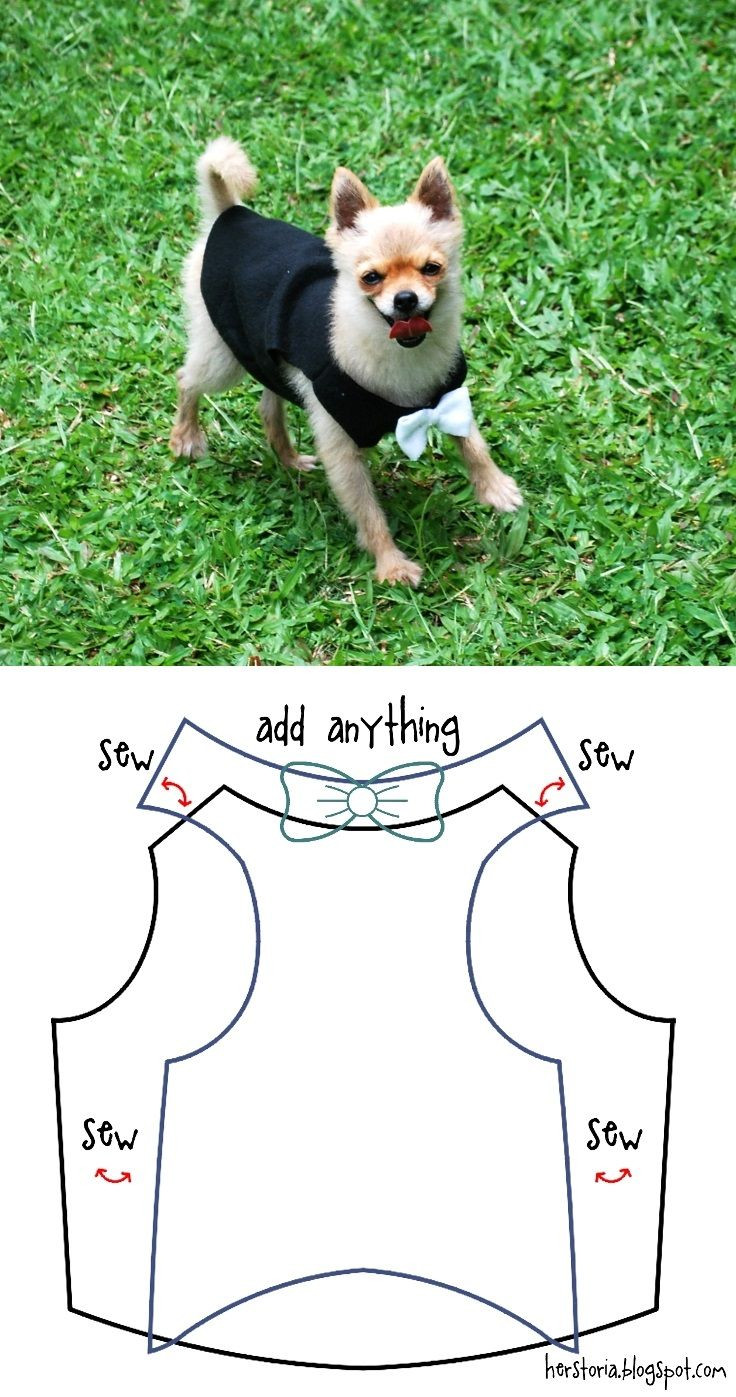 DIY Dog Clothes Pattern
 Top 10 Cute DIY Pet Clothes