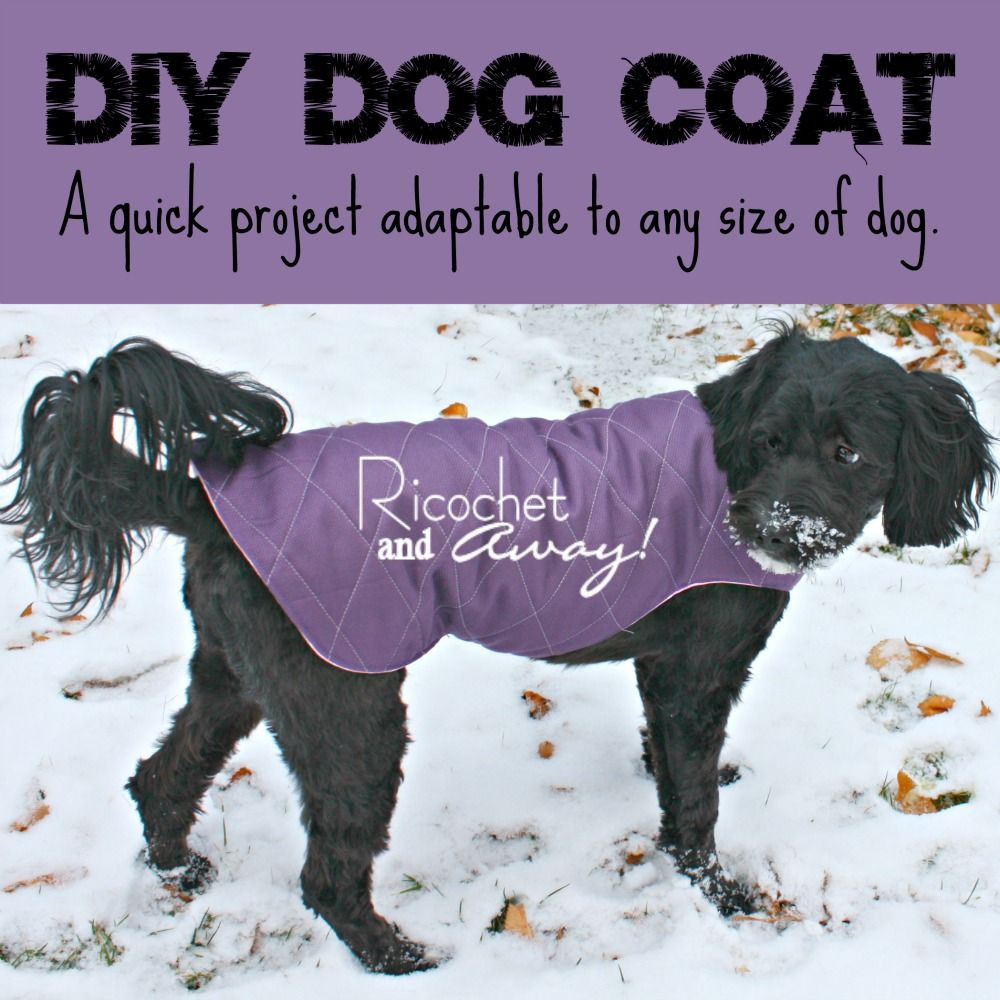 DIY Dog Clothes Pattern
 DIY Dog Coat ricochetandaway