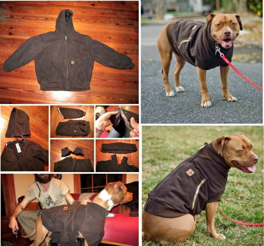 DIY Dog Coat
 DIY Dog Coat Pattern Quick and Easy Project Video Tutorial