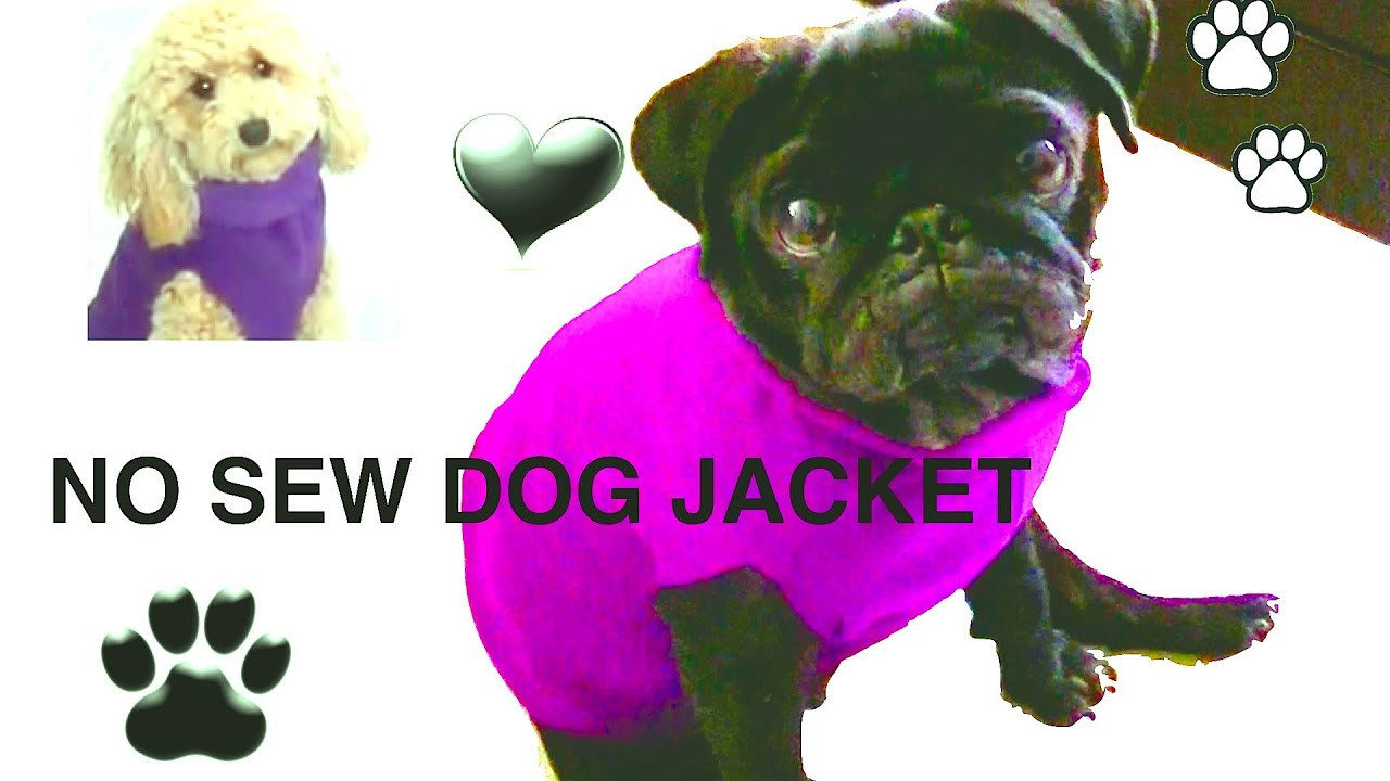 DIY Dog Coat
 NO SEW DOG JACKET DIY Dog clothes a tutorial by