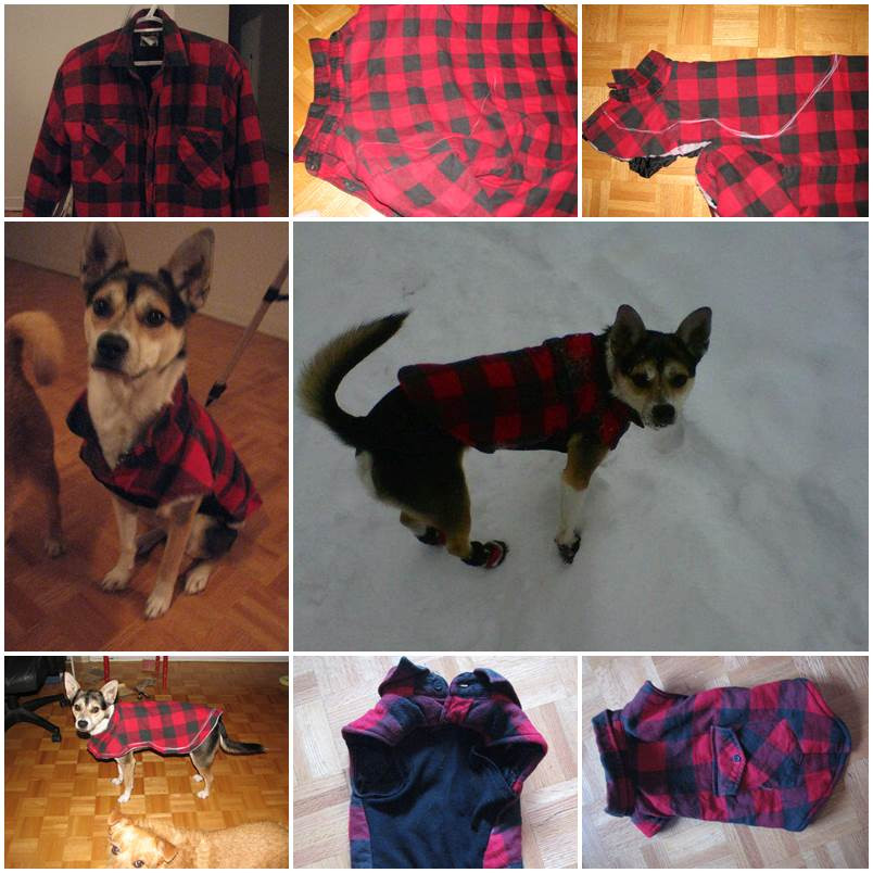 DIY Dog Coat
 DIY Dog Hoo Coat