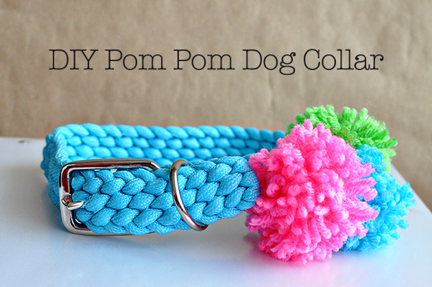 DIY Dog Collar
 Pom Pom Dog Collar