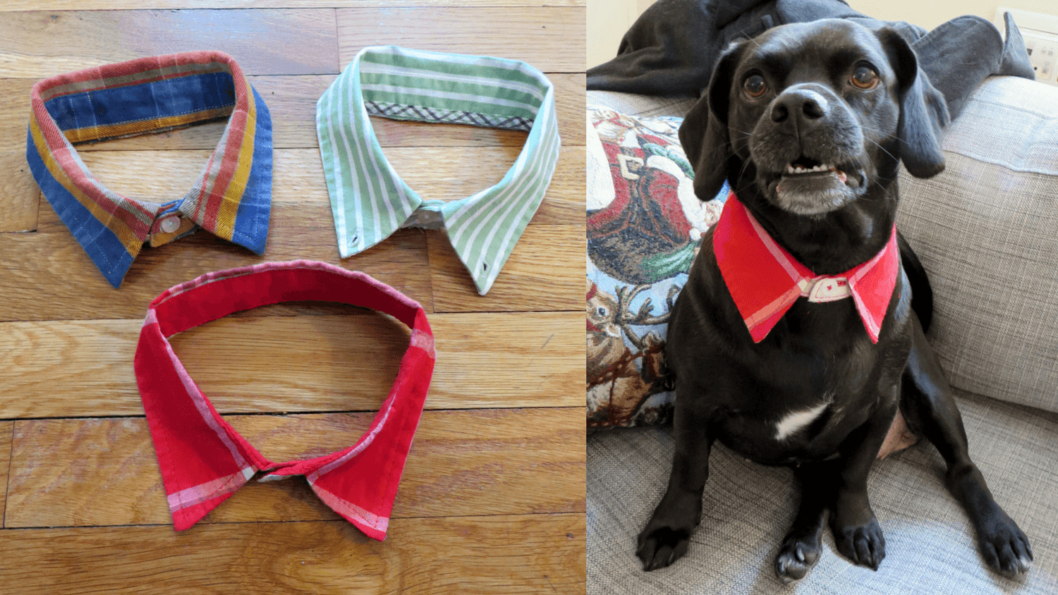 DIY Dog Collar
 7 Easy DIY Dog Accessories Ideas and Projects Vittles Vault