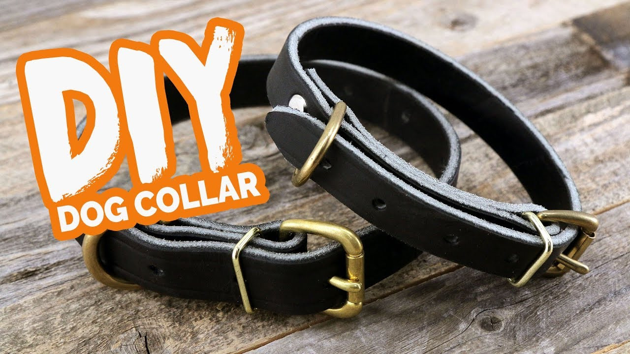 DIY Dog Collar
 DIY Leather Dog Collar