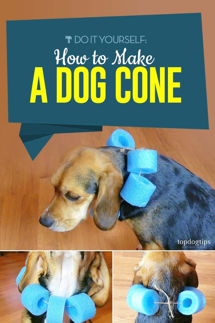 DIY Dog Cones
 How to Make a Dog Cone A Simple DIY Guide