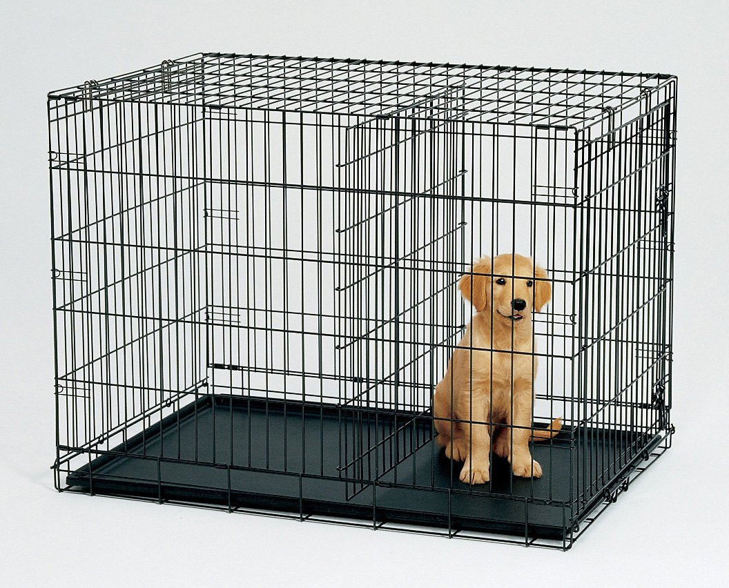 DIY Dog Crate Divider
 42 Collapsible Metal Dog Crate Cat Cage With Divider