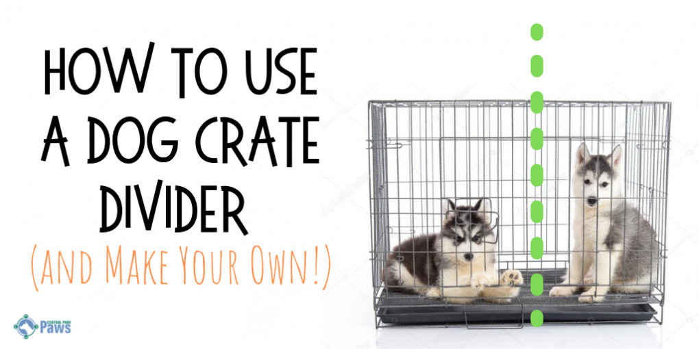 DIY Dog Crate Divider
 Puppy Training Crate With Divider