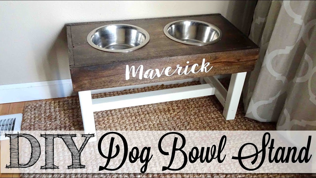 DIY Dog Dish Stand
 DIY Dog Bowl Stand 🐾