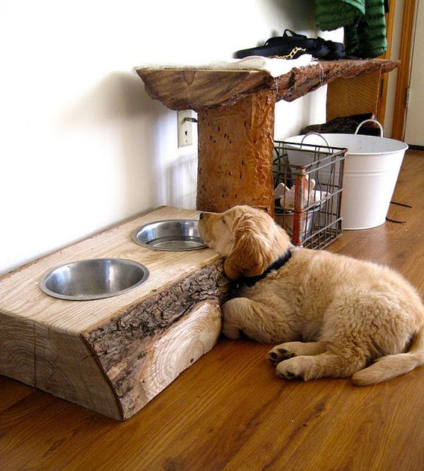 DIY Dog Dish Stand
 10 Creative DIY dog bowl ideas for your pet