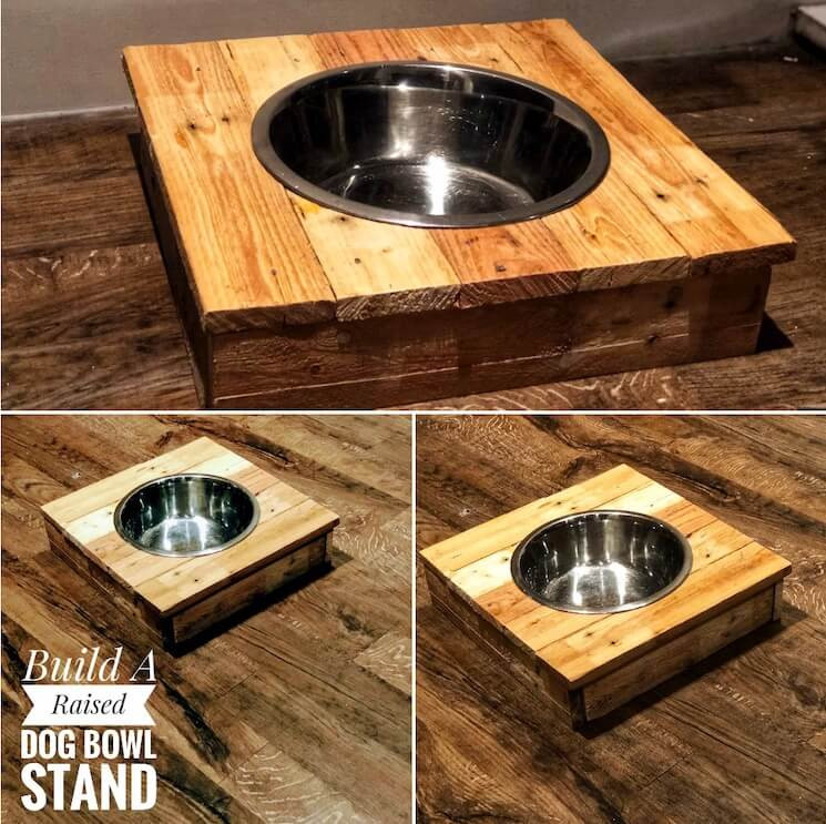 DIY Dog Dish Stand
 11 Creative DIY dog bowl ideas for your pet