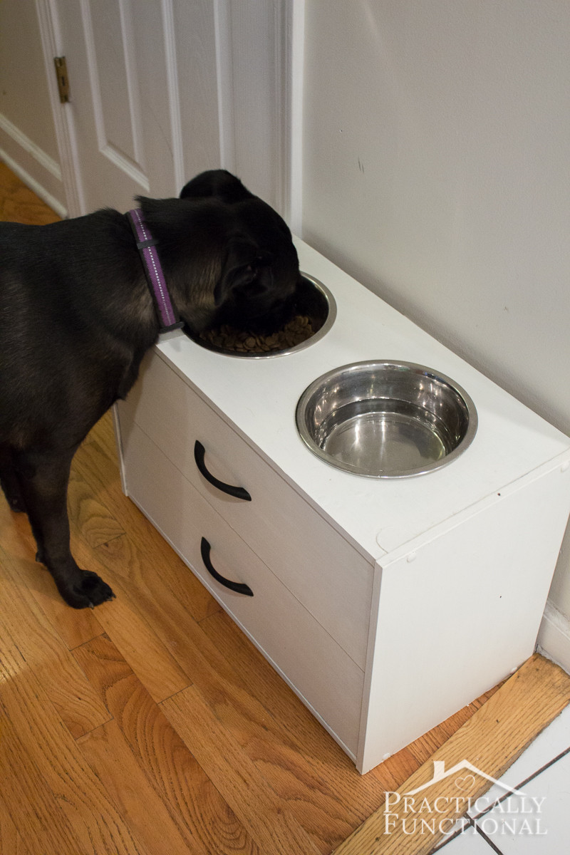 DIY Dog Dish Stand
 DIY Raised Dog Bowl Stand