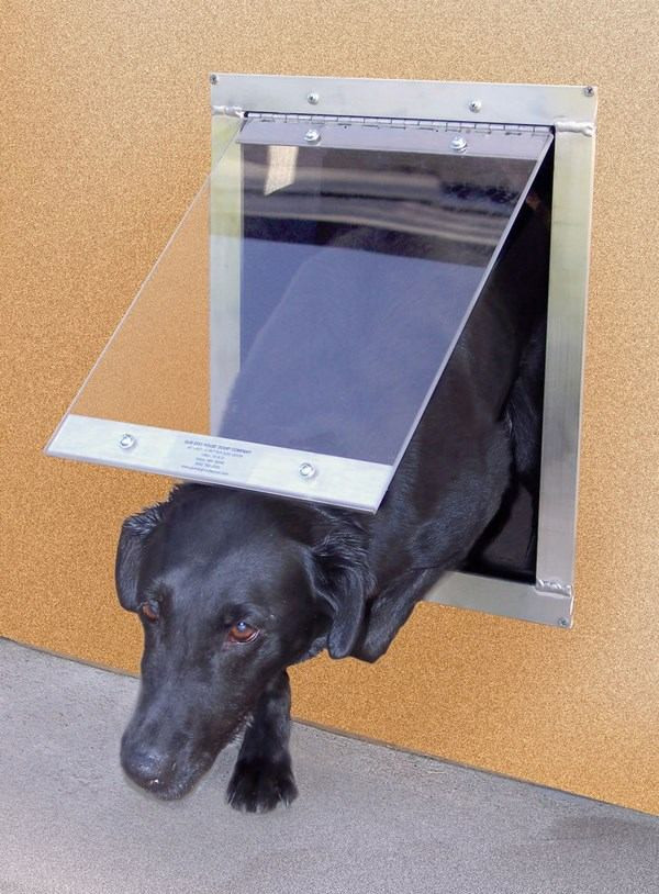 DIY Dog Door Flap
 Dog doors – a solution to provide freedom and independence